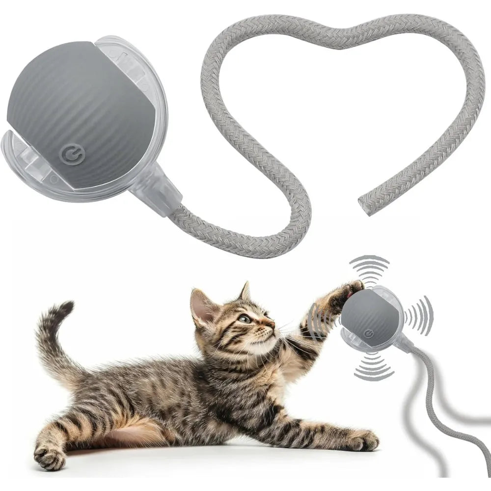 Pelota interactiva para mascota
