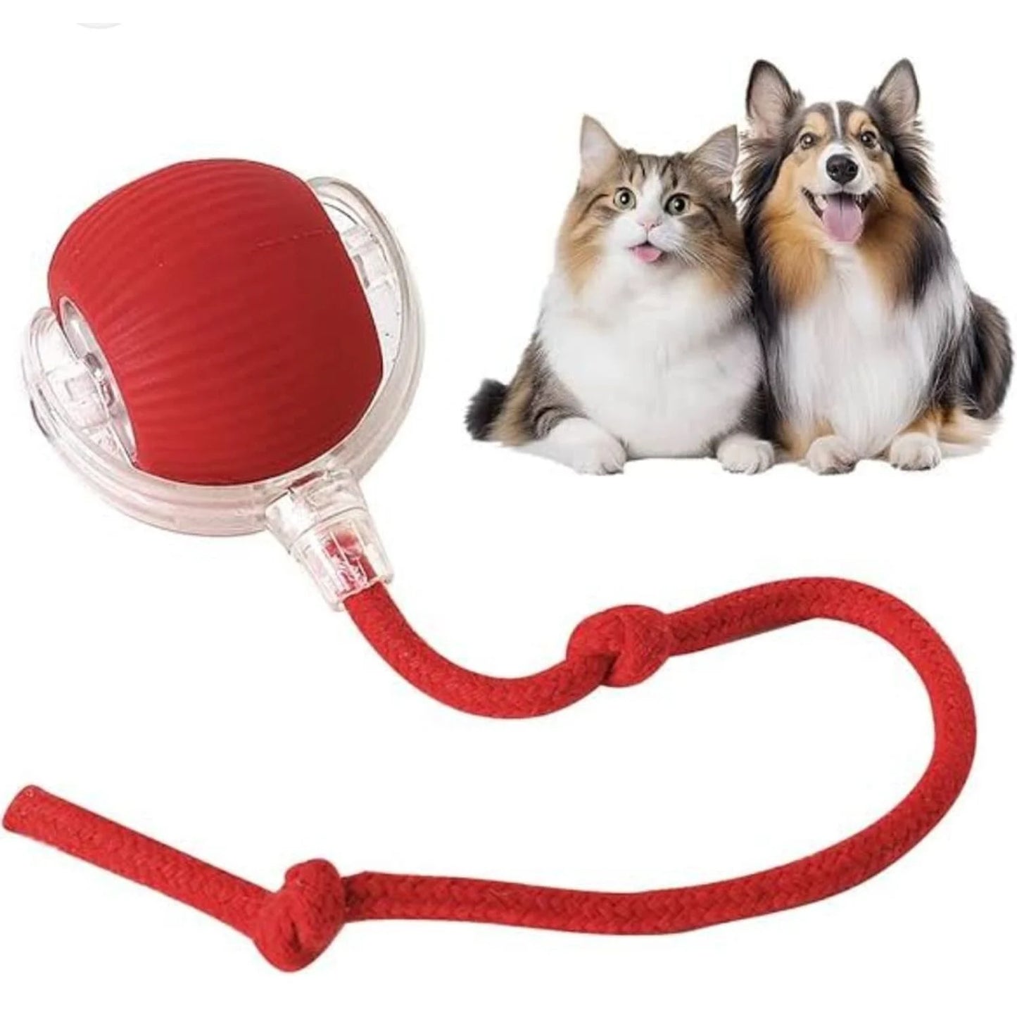 Pelota interactiva para mascota